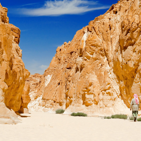 Safari nell'oasi di Ein Khadra